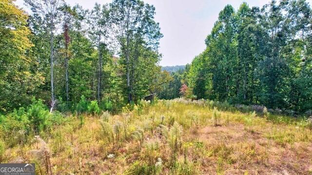 32 AC- Oak Hill Road, Ellijay, Georgia image 11
