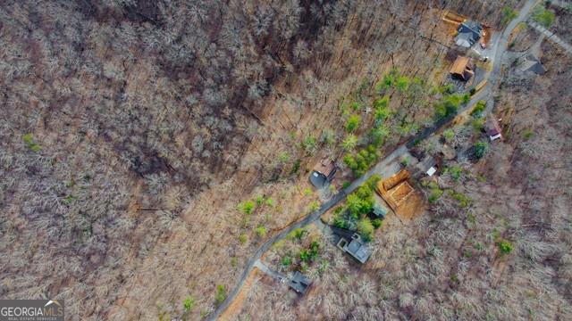 32 AC- Oak Hill Road, Ellijay, Georgia image 31