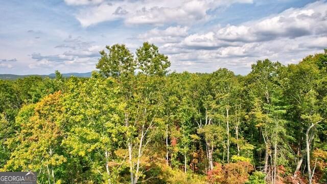 32 AC- Oak Hill Road, Ellijay, Georgia image 16