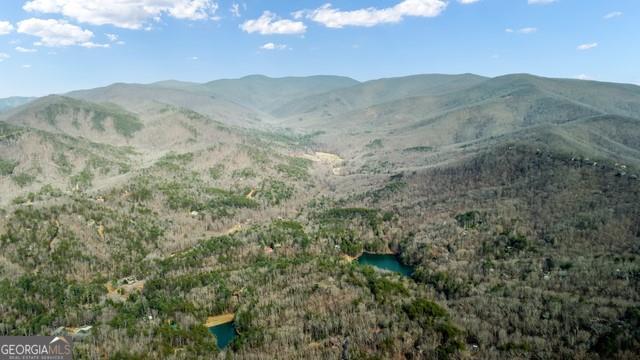 32 AC- Oak Hill Road, Ellijay, Georgia image 34
