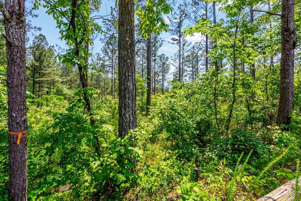 32 AC- Oak Hill Road