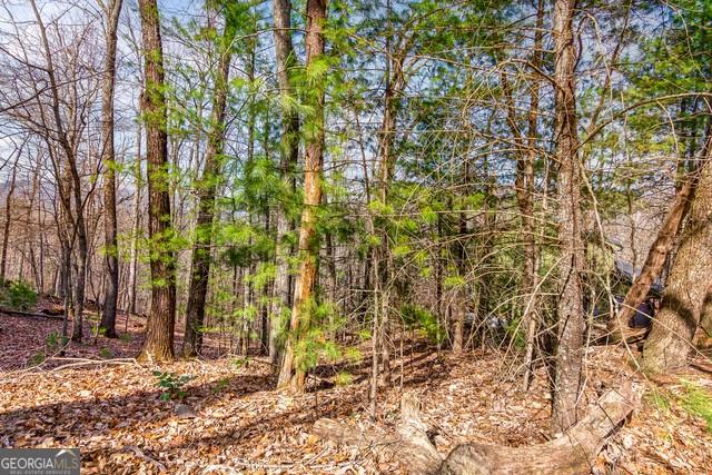 32 AC- Oak Hill Road, Ellijay, Georgia image 6
