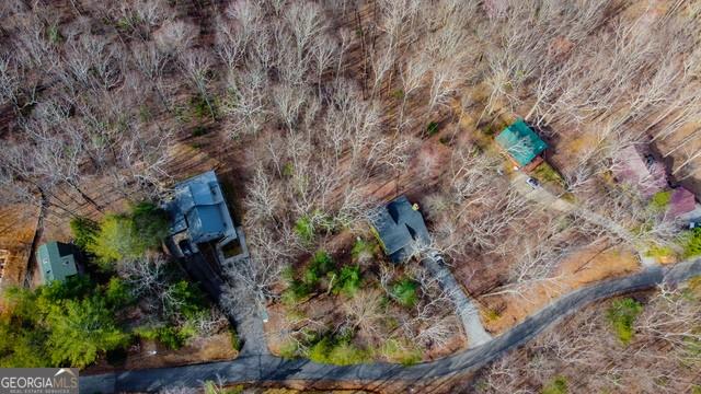 32 AC- Oak Hill Road, Ellijay, Georgia image 25