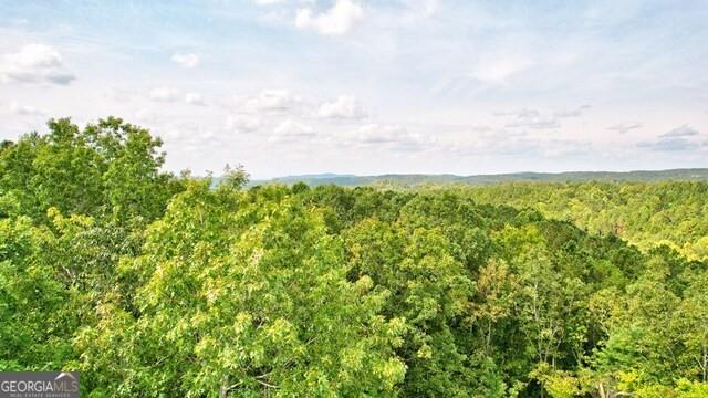 32 AC- Oak Hill Road, Ellijay, Georgia image 21