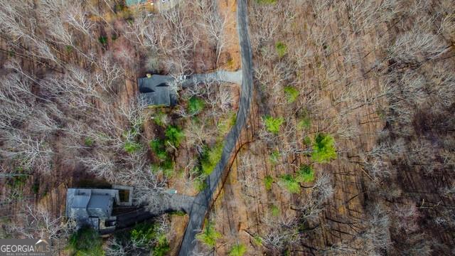 32 AC- Oak Hill Road, Ellijay, Georgia image 27