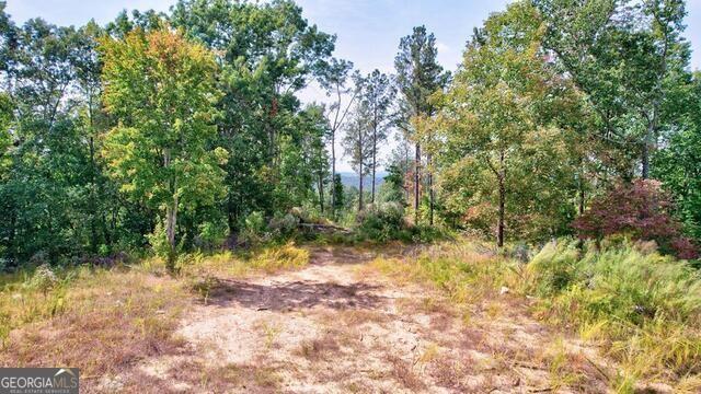 32 AC- Oak Hill Road, Ellijay, Georgia image 7