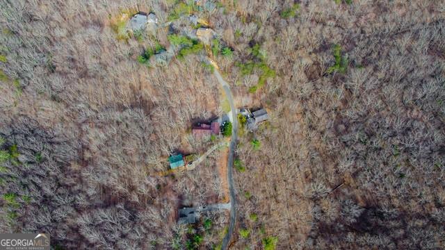 32 AC- Oak Hill Road, Ellijay, Georgia image 29