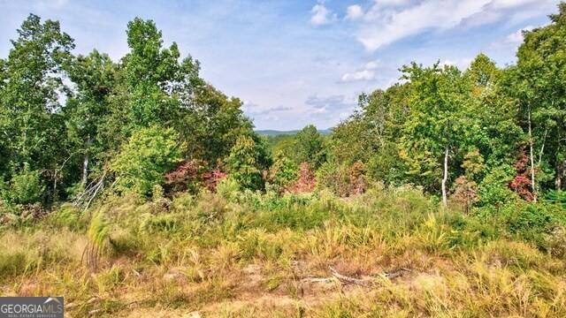 32 AC- Oak Hill Road, Ellijay, Georgia image 9