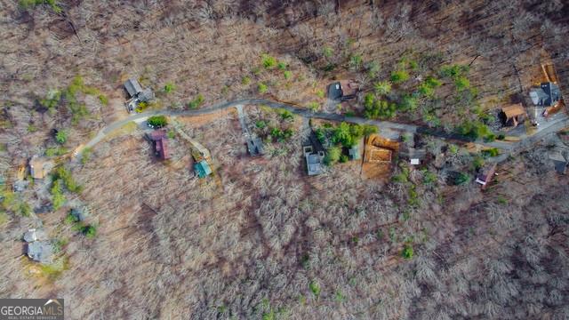 32 AC- Oak Hill Road, Ellijay, Georgia image 33