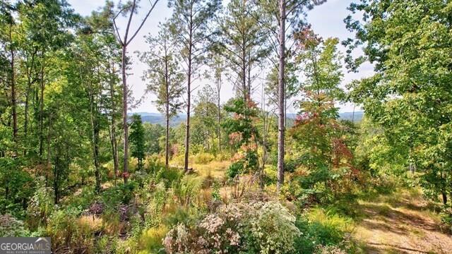 32 AC- Oak Hill Road, Ellijay, Georgia image 13