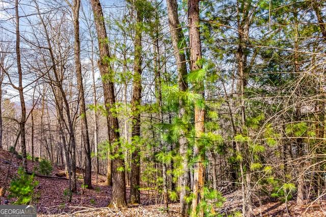 32 AC- Oak Hill Road, Ellijay, Georgia image 4