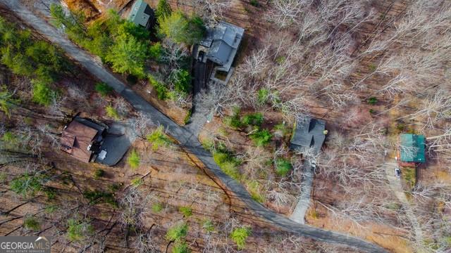 32 AC- Oak Hill Road, Ellijay, Georgia image 26