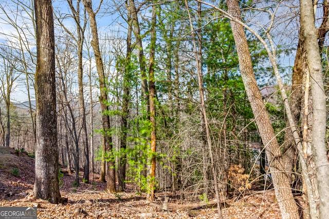 32 AC- Oak Hill Road, Ellijay, Georgia image 17