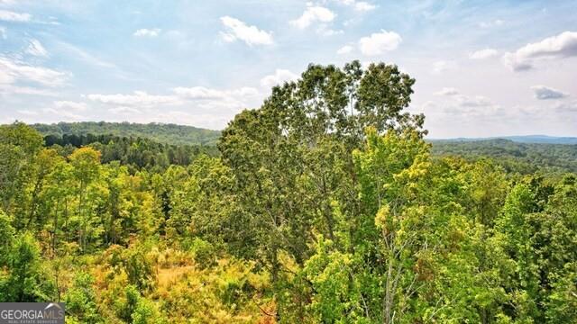 32 AC- Oak Hill Road, Ellijay, Georgia image 19