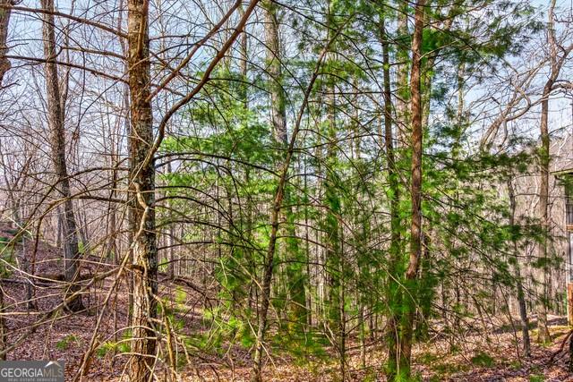 32 AC- Oak Hill Road, Ellijay, Georgia image 23