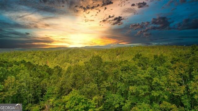 32 AC- Oak Hill Road, Ellijay, Georgia image 8