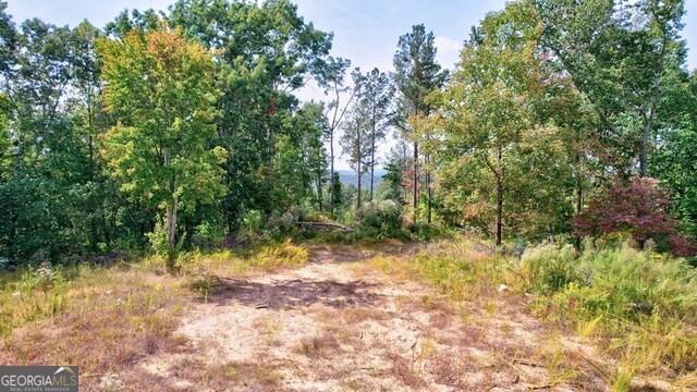 32 AC- Oak Hill Road, Ellijay, Georgia image 12