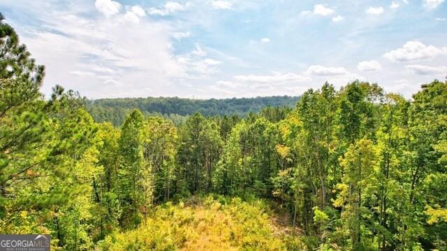 32 AC- Oak Hill Road, Ellijay, Georgia image 22
