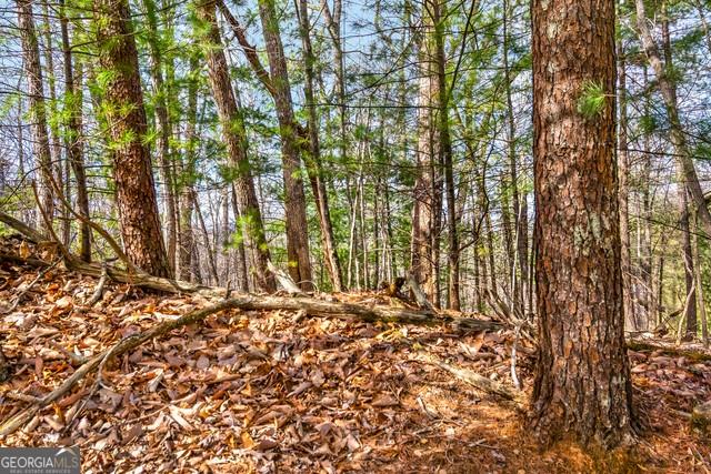 32 AC- Oak Hill Road, Ellijay, Georgia image 18