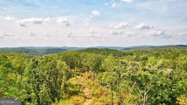 32 AC- Oak Hill Road, Ellijay, Georgia image 15