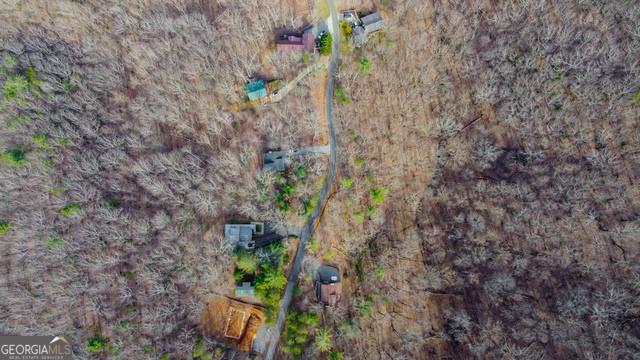 32 AC- Oak Hill Road, Ellijay, Georgia image 30