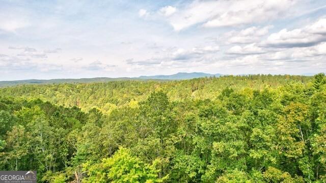 32 AC- Oak Hill Road, Ellijay, Georgia image 20