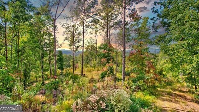 32 AC- Oak Hill Road, Ellijay, Georgia image 14