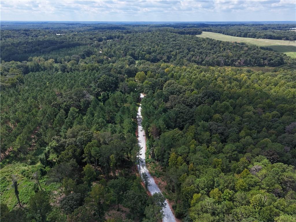 Sanford Lake Drive, Nicholson, Georgia image 6