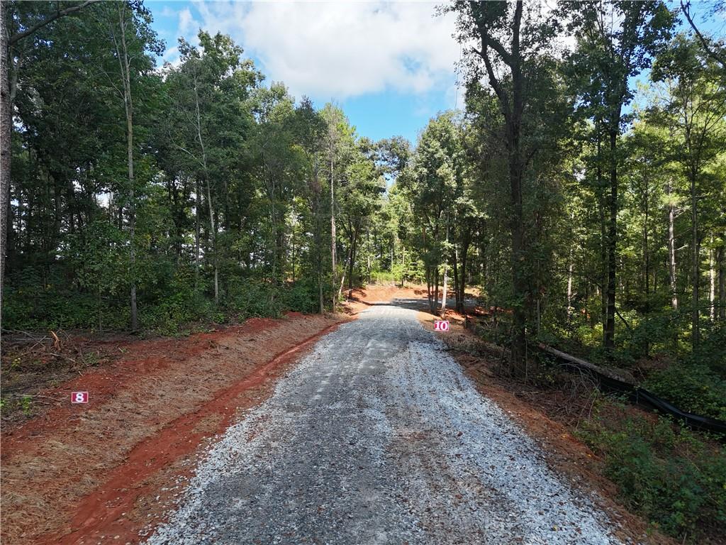 Sanford Lake Drive, Nicholson, Georgia image 3