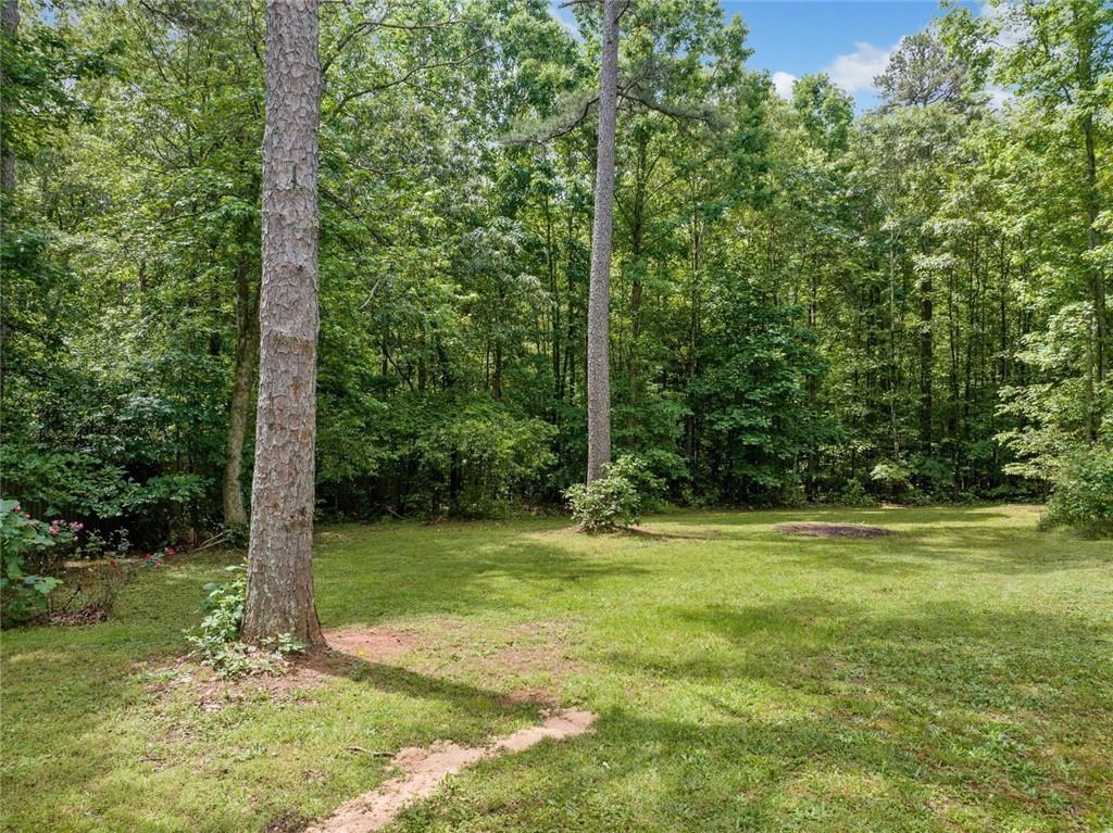 361 Greenwood Park Way, Dawsonville, Georgia image 35