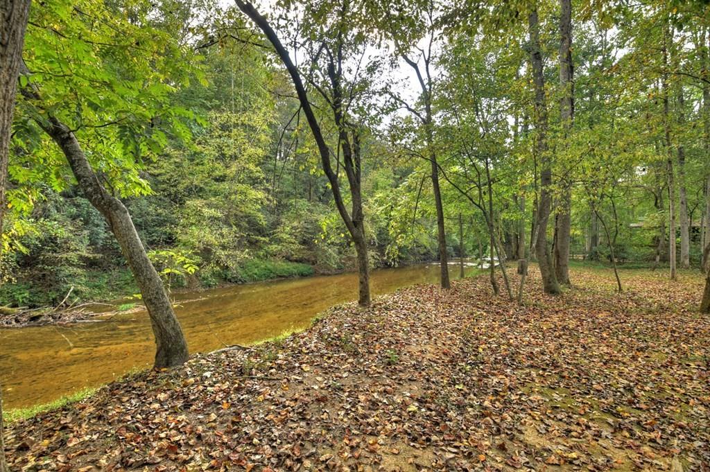 304 Misty Valley Lane, Ellijay, Georgia image 47