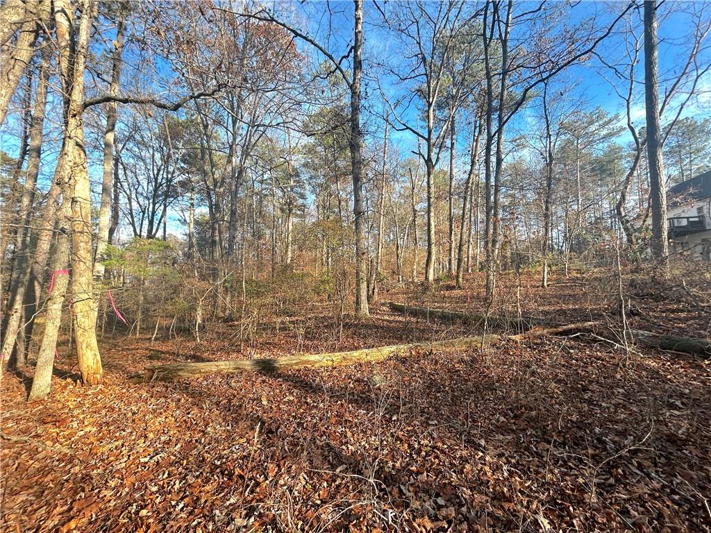 3339 Cherokee Court