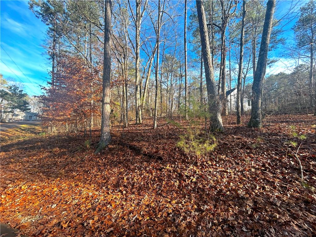 3339 Cherokee Court