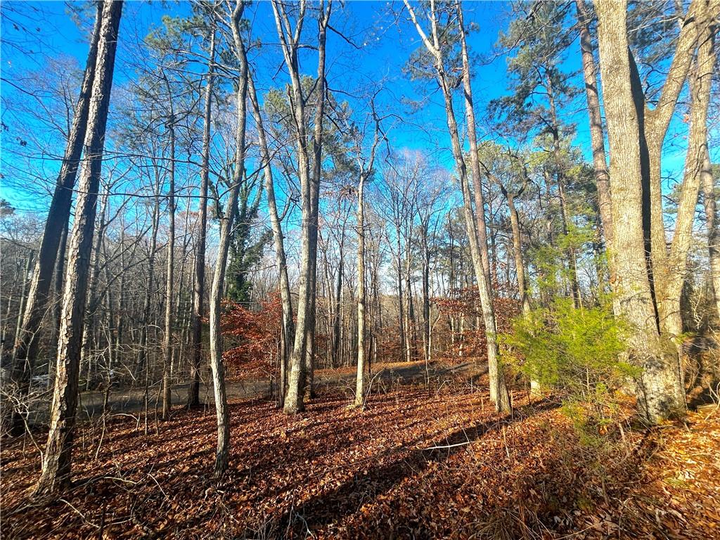 3339 Cherokee Court