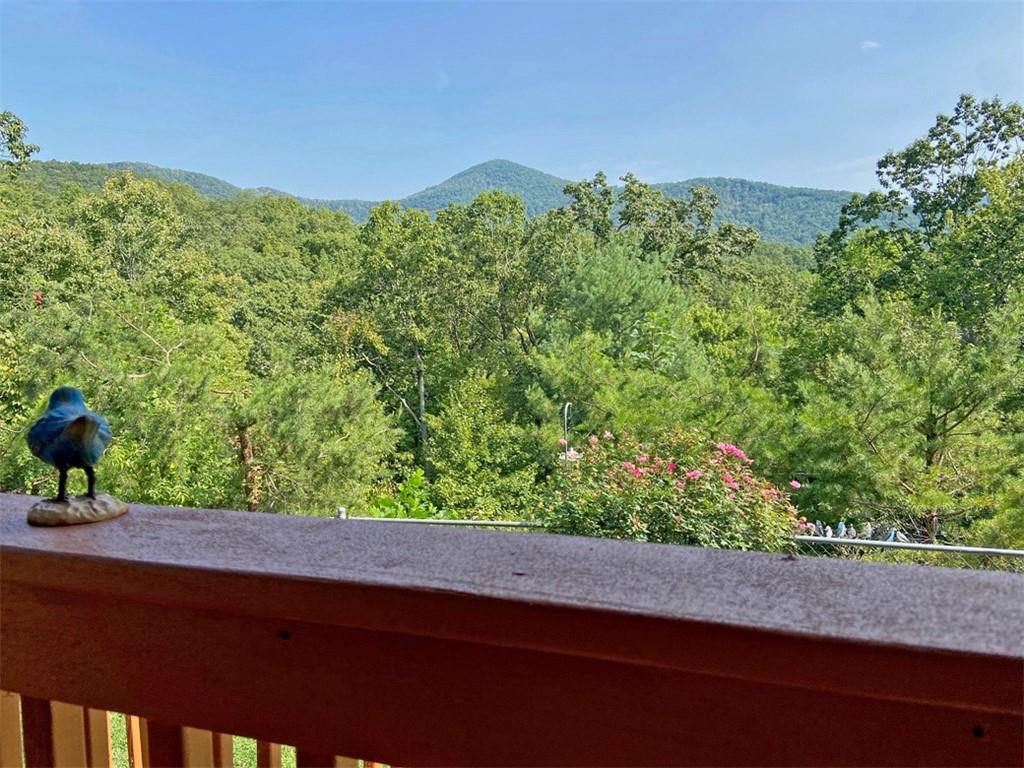 102 Jewel Path, Dahlonega, Georgia image 16
