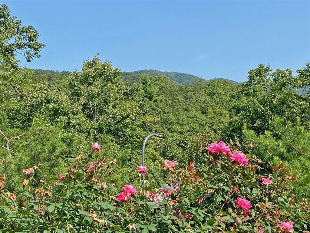 listing image 53