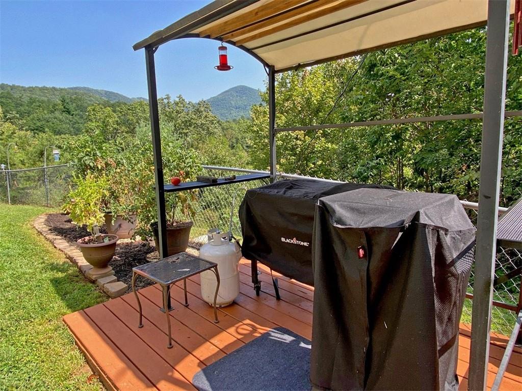 102 Jewel Path, Dahlonega, Georgia image 38