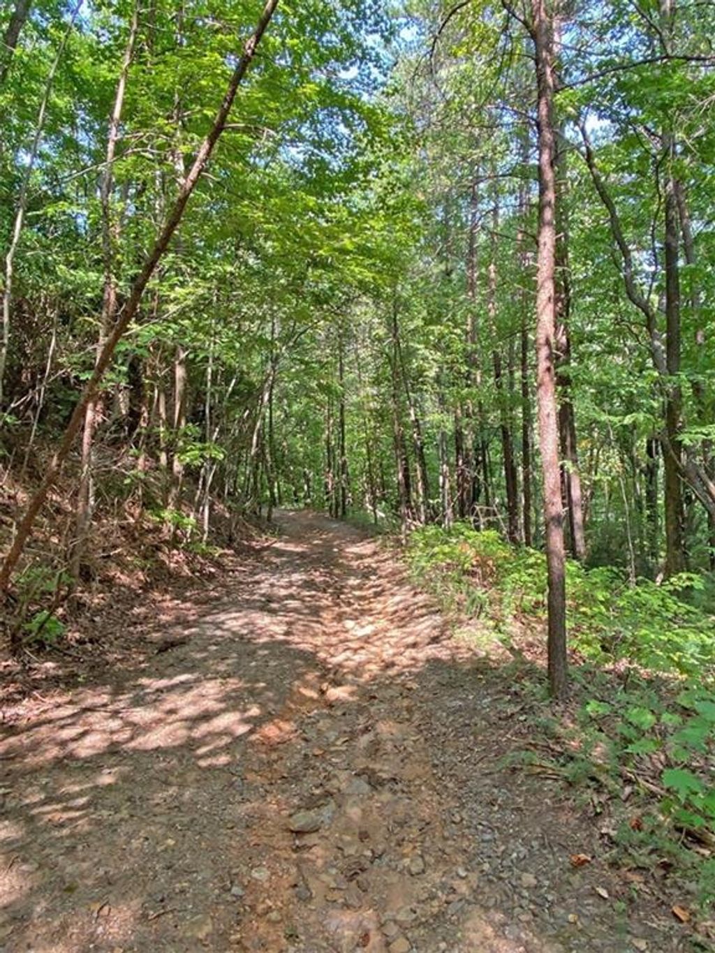 listing image 60
