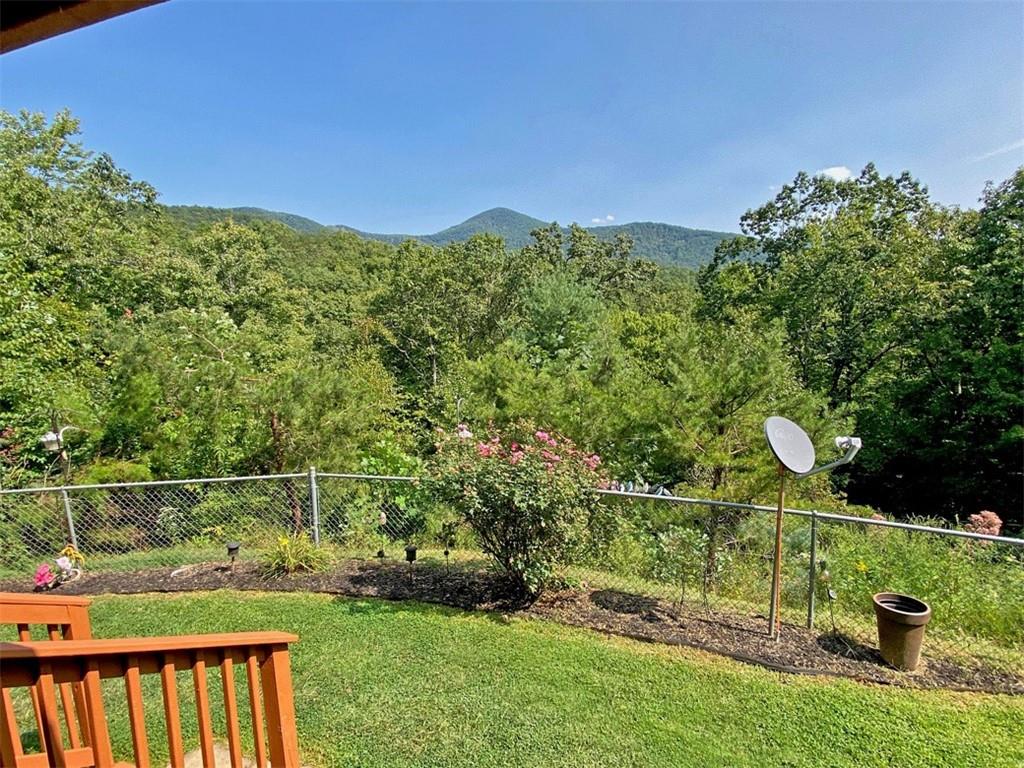 102 Jewel Path, Dahlonega, Georgia image 40