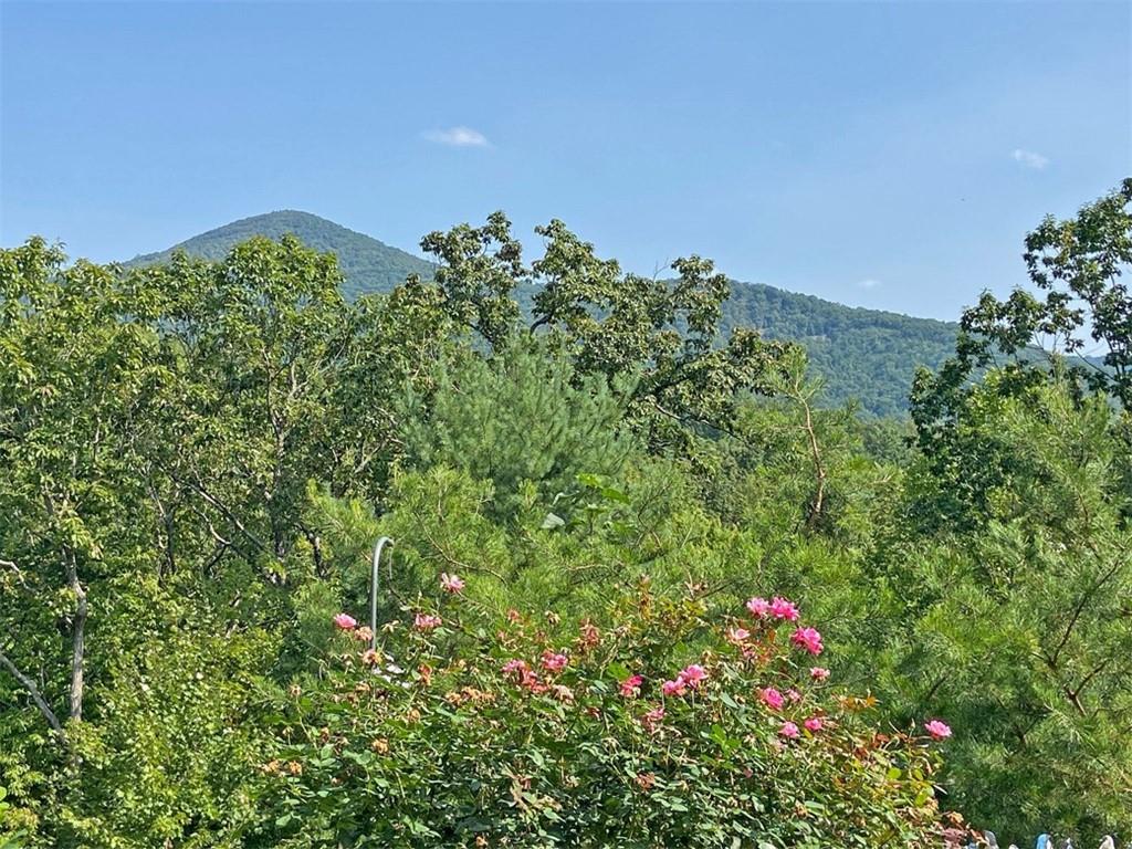 102 Jewel Path, Dahlonega, Georgia image 47