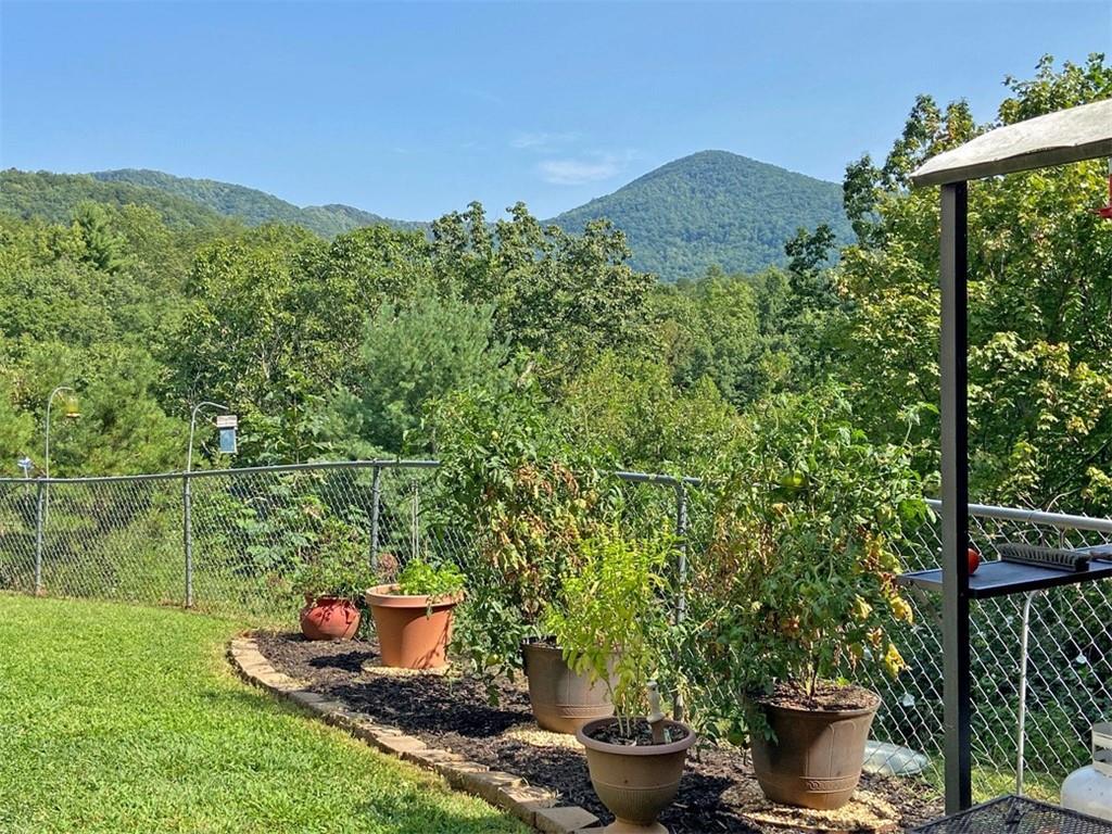 102 Jewel Path, Dahlonega, Georgia image 39