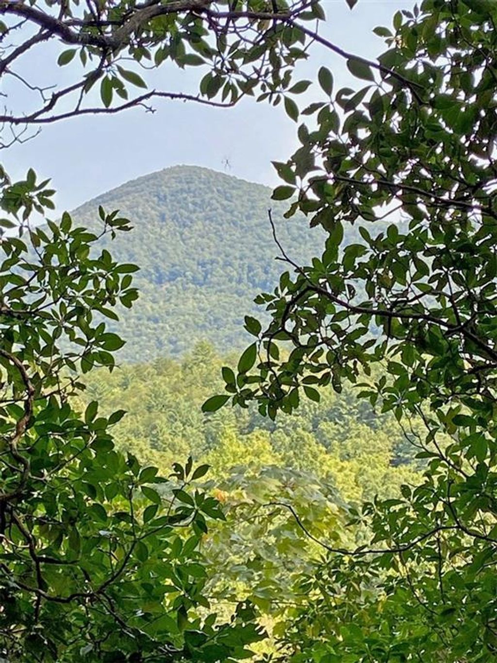 listing image 58