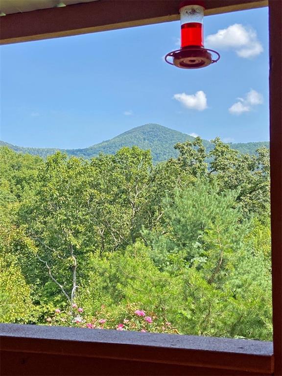 102 Jewel Path, Dahlonega, Georgia image 15