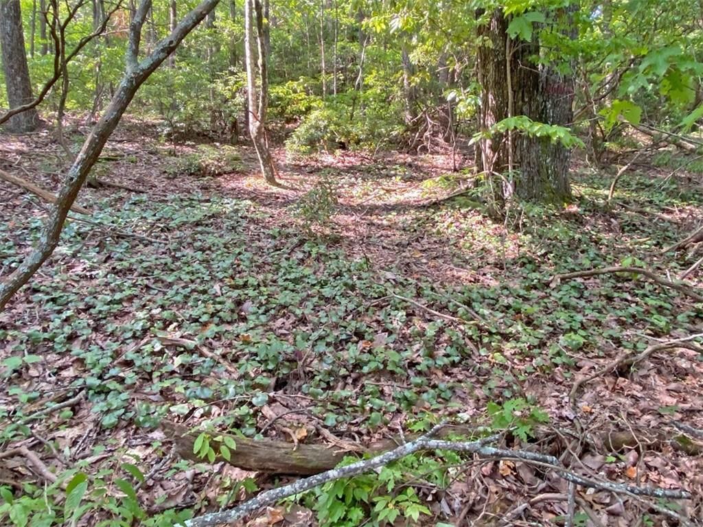 listing image 59
