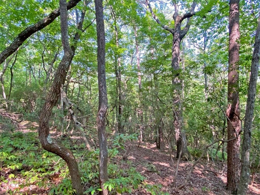 listing image 57