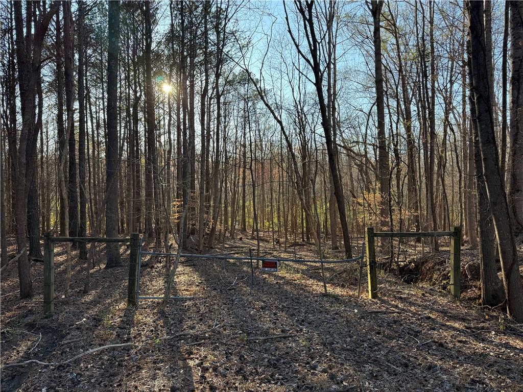 Old Farm Road, Woodstock, Georgia image 3