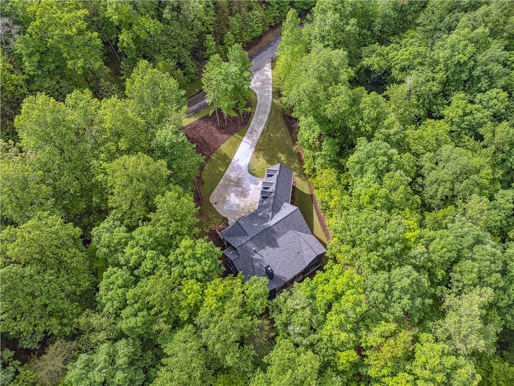 448 Golden Bear Pass, Dahlonega, Georgia image 48