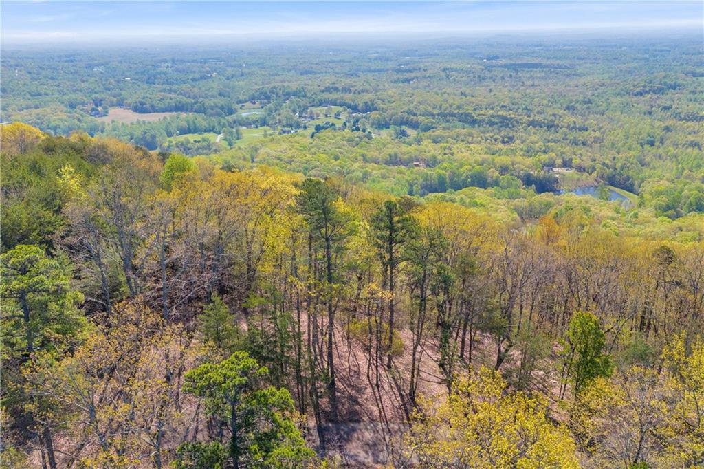 Eagle Ridge Trail, Cleveland, Georgia image 18