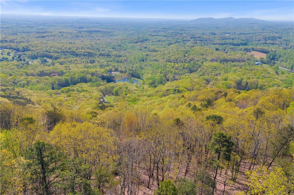 Eagle Ridge Trail, Cleveland, Georgia image 19