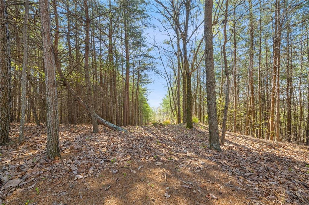 Eagle Ridge Trail, Cleveland, Georgia image 3